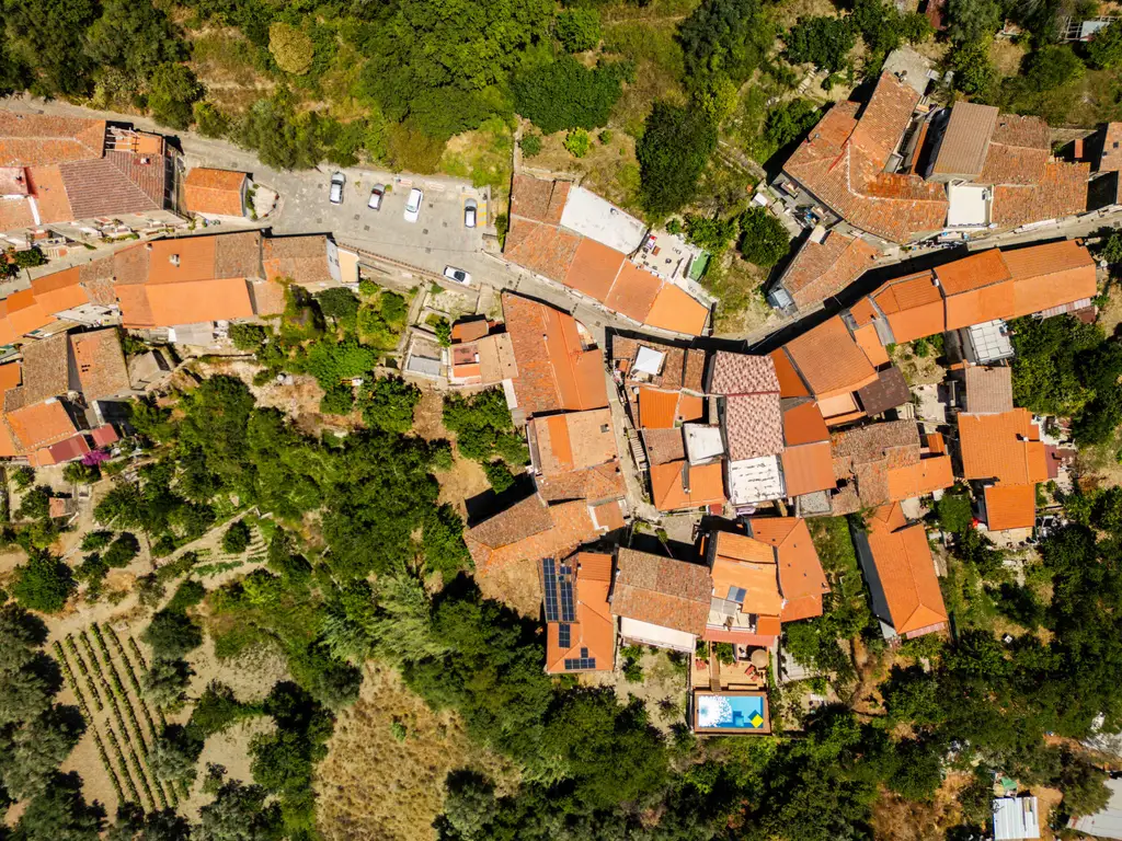 Le colline del Cilento tra gli ulivi, intorno a Ogliastro Cilento